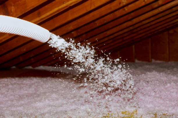 Best Cellulose Insulation in New Paris, OH